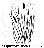 Poster, Art Print Of Black And White Cat Tails