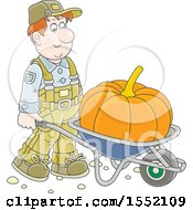 Caucasian Male Farmer Moving A Giant Pumpkin In A Wheelbarrow
