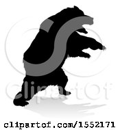 Clipart Of A Silhouetted Bear With A Reflection Or Shadow On A White Background Royalty Free Vector Illustration