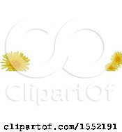 Clipart Of A Dandelion Flower Border Royalty Free Vector Illustration