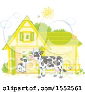 Poster, Art Print Of Dairy Cow And Calf At A Barn