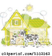 Poster, Art Print Of Calf And Dairy Cow At A Barn