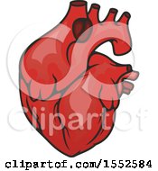 Clipart Of A Heart Human Anatomy Royalty Free Vector Illustration