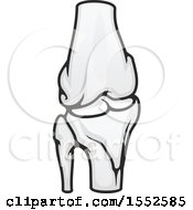 Clipart Of A Knee Joint Human Anatomy Royalty Free Vector Illustration