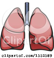 Clipart Of A Pair Of Lungs Human Anatomy Royalty Free Vector Illustration