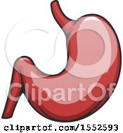 Clipart Of A Stomach Human Anatomy Royalty Free Vector Illustration by Vector Tradition SM
