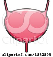 Clipart Of A Bladder Human Anatomy Royalty Free Vector Illustration