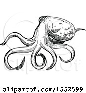 Clipart Of A Sketched Black And White Octopus Royalty Free Vector Illustration