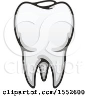 Clipart Of A Tooth Royalty Free Vector Illustration