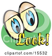 Pair Of Eyecatching Blue Eyes Over A Green Background With Yellow Text Reading Look Clipart Illustration
