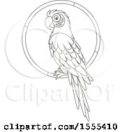 Poster, Art Print Of Lineart Macaw Parrot On A Ring
