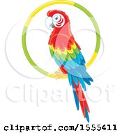 Scarlet Macaw Perched On A Ring