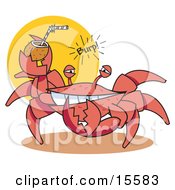 Funny Crab Belching While Drinking An Alcoholic Beverage In A Coconut Shell On A Beach