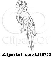 Lineart Blue And Yellow Macaw Parrot