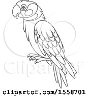 Clipart Of A Lineart Parrot Royalty Free Vector Illustration