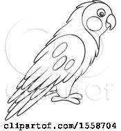 Clipart Of A Lineart Lovebird Royalty Free Vector Illustration