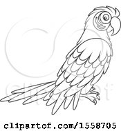 Lineart Scarlet Macaw Parrot