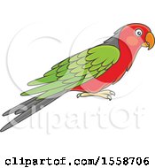 Clipart Of A Parrot Royalty Free Vector Illustration