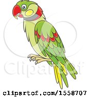 Clipart Of A Parrot Royalty Free Vector Illustration