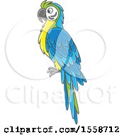 Clipart Of A Blue And Yellow Macaw Parrot Royalty Free Vector Illustration