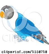Clipart Of A Blue Lovebird Royalty Free Vector Illustration
