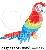 Clipart Of A Scarlet Macaw Parrot Royalty Free Vector Illustration