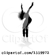 Poster, Art Print Of Silhouetted Female Hip Hop Dancer With A Reflection Or Shadow On A White Background