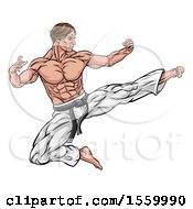 Muscular Kung Fu Martial Artist Kicking