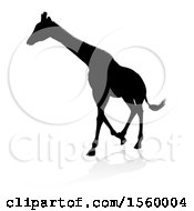 Clipart Of A Silhouetted Giraffe With A Reflection Or Shadow Royalty Free Vector Illustration