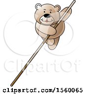 Poster, Art Print Of Bear Pole Vaulting