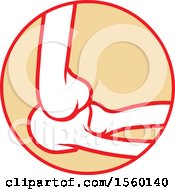 Human Elbow Joint Design
