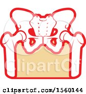 Clipart Of A Human Pelvis Royalty Free Vector Illustration by Vector Tradition SM