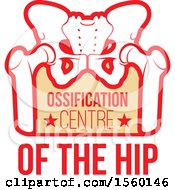 Poster, Art Print Of Human Pelvis With Ossification Centre Of The Hip Text