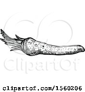 Clipart Of A Black And White Sketched Horseradish Royalty Free Vector Illustration