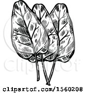 Poster, Art Print Of Black And White Sketched Sorrel