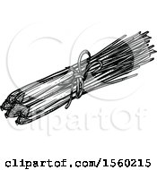 Clipart Of Black And White Sketched Lemongrass Royalty Free Vector Illustration