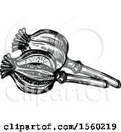 Clipart Of Black And White Sketched Poppy Pods Royalty Free Vector Illustration