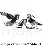 Poster, Art Print Of Black And White Crows With Heads Of Men