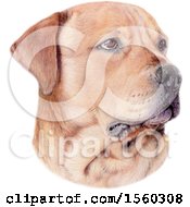 Clipart Of A Portrait Of A Dog Royalty Free Illustration