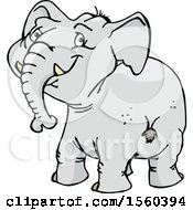 Poster, Art Print Of Happy Elephant Looking Back