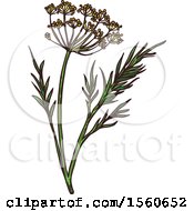 Clipart Of Sketched Dill Royalty Free Vector Illustration