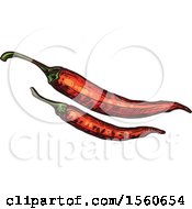 Clipart Of Sketched Red Peppers Royalty Free Vector Illustration