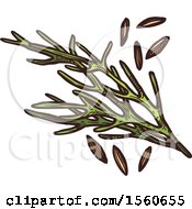 Clipart Of Sketched Cumin Royalty Free Vector Illustration