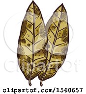 Clipart Of Sketched Bay Leaves Royalty Free Vector Illustration