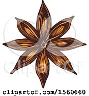Clipart Of Sketched Star Anise Royalty Free Vector Illustration
