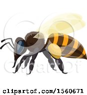 Clipart Of A Honey Bee Royalty Free Vector Illustration by Vector Tradition SM
