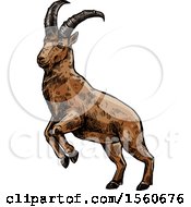 Poster, Art Print Of Sketched Goat