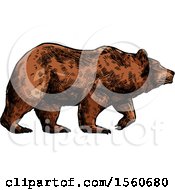 Poster, Art Print Of Sketched Bear Walking