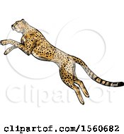 Poster, Art Print Of Sketched Cheetah Pouncing