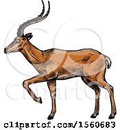 Poster, Art Print Of Sketched Gazelle